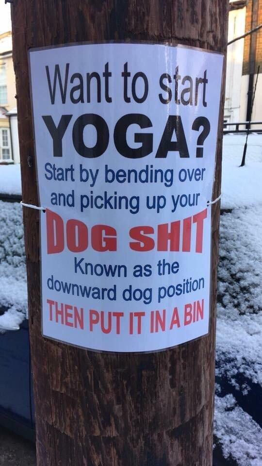yoga dog shit - Want to start Yoga? Start by bending over and picking up your Dog Shii Known as the ownward dog position Then Put It In A Bin
