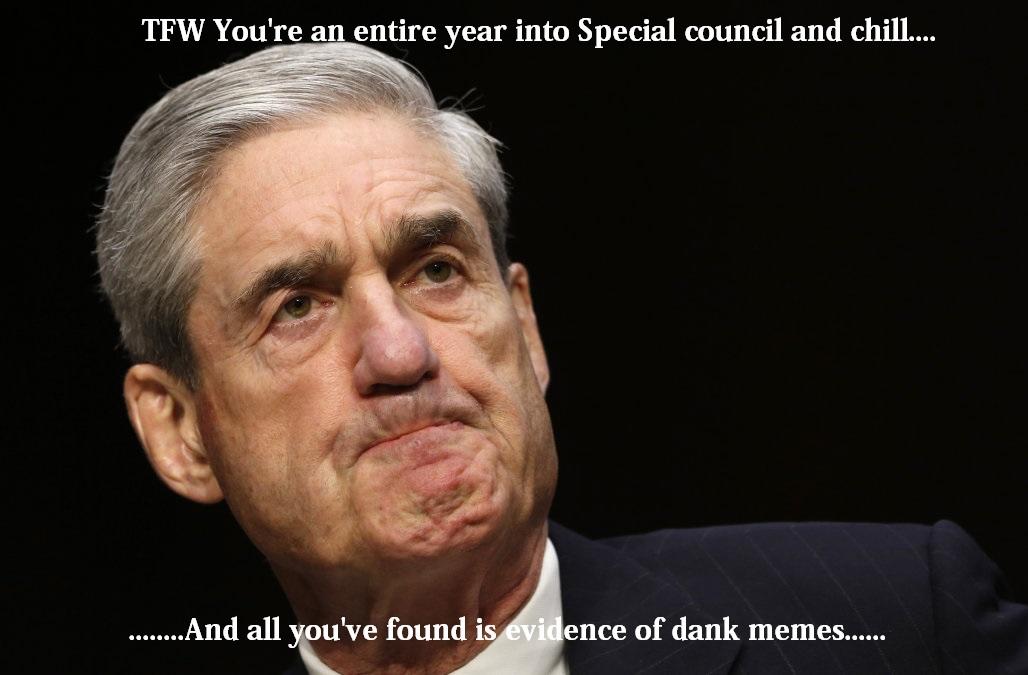 pbs mueller - Tfw You're an entire year into Special council and chill.... .........And all you've found is evidence of dank memes....