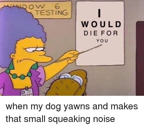 would die for you dog meme - Lowesting Would Die For You when my dog yawns and makes that small squeaking noise