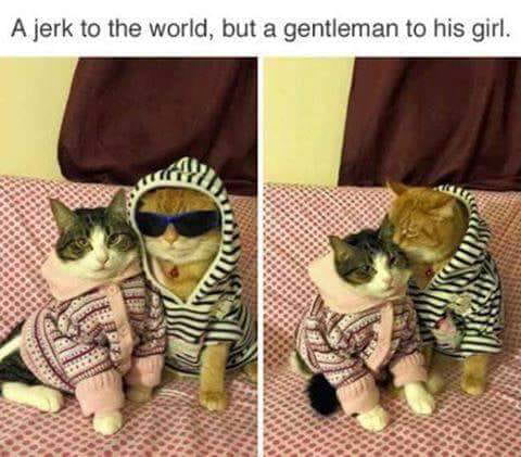 asshole to the world but sweetheart to his girl meme - A jerk to the world, but a gentleman to his girl.