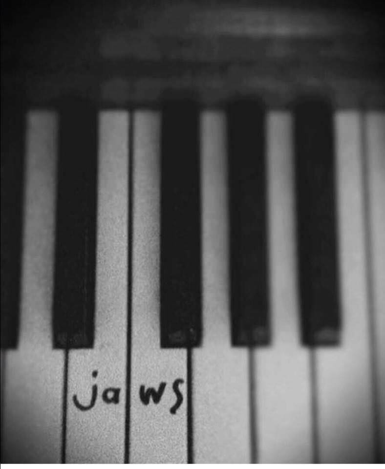random pic jaws piano keys - Jawsi