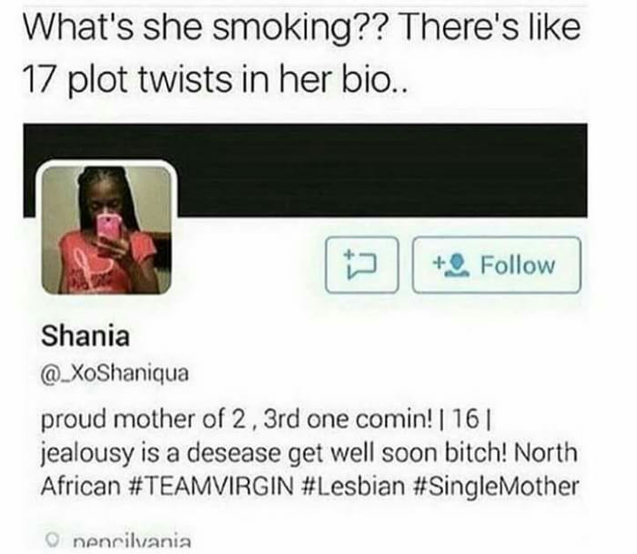 bio with plot twists - What's she smoking?? There's 17 plot twists in her bio.. Shania proud mother of 2, 3rd one comin!|16|| jealousy is a desease get well soon bitch! North African nencilvania