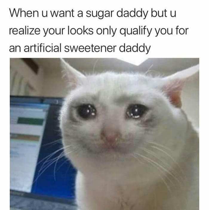 you want a sugar daddy meme - When u want a sugar daddy but u realize your looks only qualify you for an artificial sweetener daddy Popa