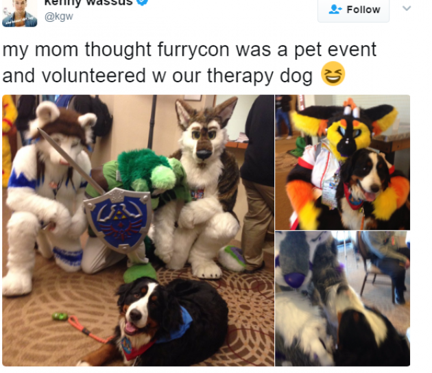 woman takes dog to furry convention - Kelly Wassus my mom thought furrycon was a pet event and volunteered w our therapy dog