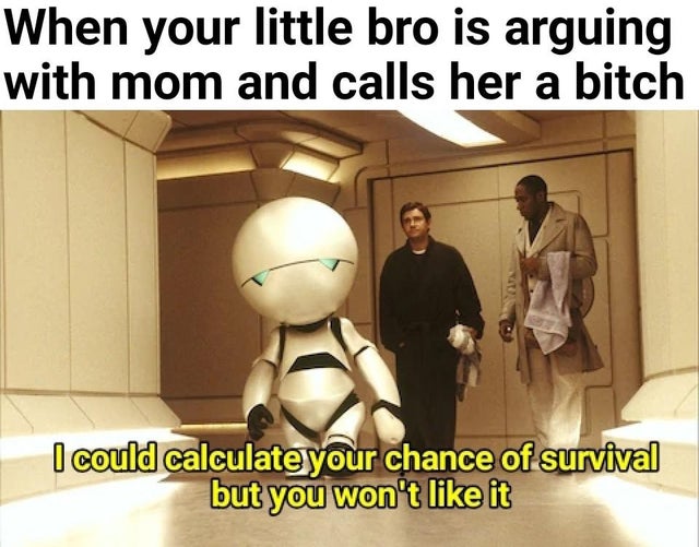 hitchhiker's guide to the galaxy - When your little bro is arguing with mom and calls her a bitch I could calculate your chance of survival but you won't it