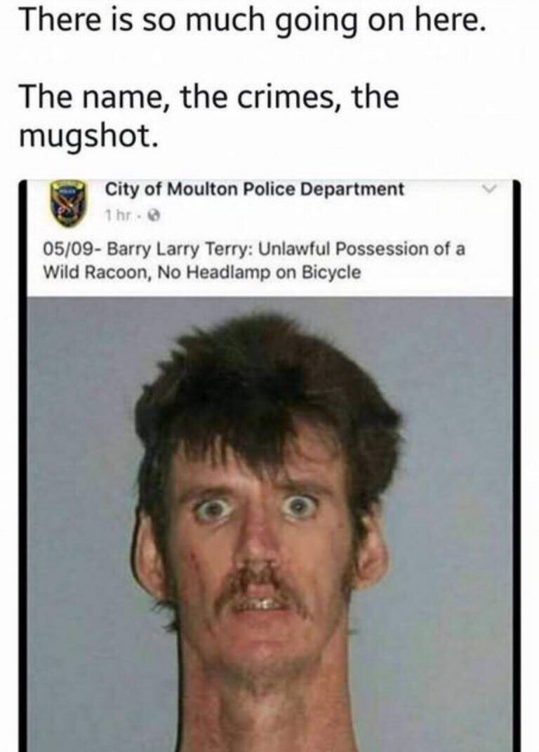 super funny meme - There is so much going on here. The name, the crimes, the mugshot. City of Moulton Police Department 1 hr. 0509 Barry Larry Terry Unlawful Possession of a Wild Racoon, No Headlamp on Bicycle