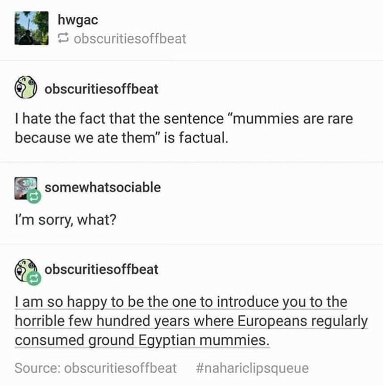document - hwgac obscuritiesoffbeat J 999 obscuritiesoffbeat I hate the fact that the sentence "mummies are rare because we ate them" is factual. somewhatsociable I'm sorry, what? obscuritiesoffbeat I am so happy to be the one to introduce you to the horr