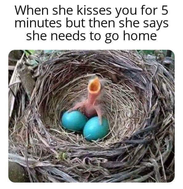 she kisses you for 5 minutes meme - When she kisses you for 5 minutes but then she says she needs to go home