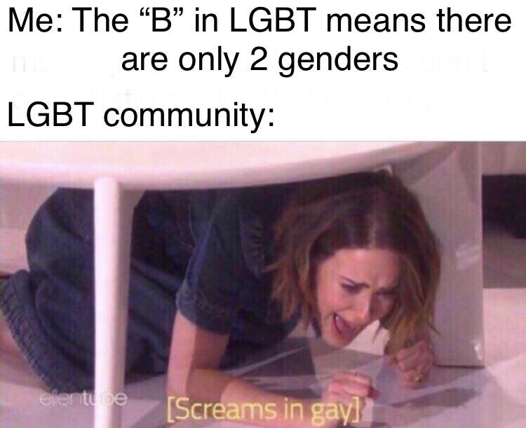 screams in gay meme - Me The B in Lgbt means there are only 2 genders Lgbt community elentu berScreams in gay?
