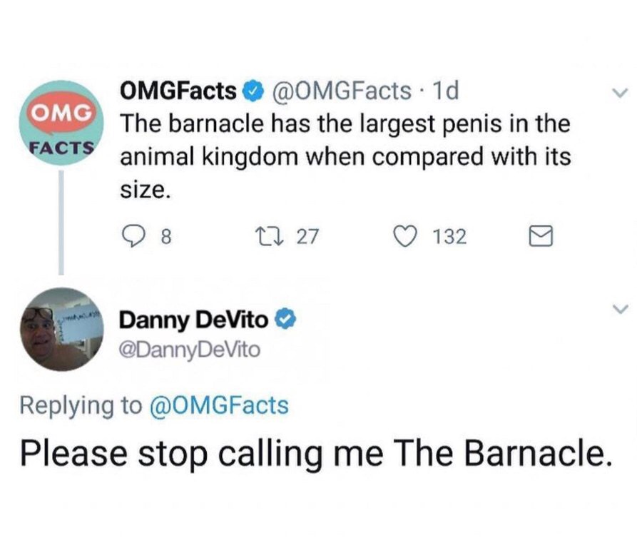 barnacle meme - Omg Facts OMGFacts 1d The barnacle has the largest penis in the animal kingdom when compared with its size. 0 8 27 27 132 Danny DeVito DeVito Please stop calling me The Barnacle.
