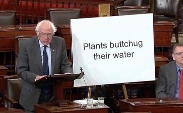 plants buttchug their water - Plants buttchug their water