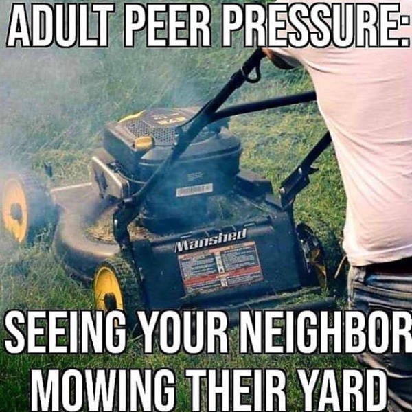 adult peer pressure meme - Adult Peer Pressure Wansied Seeing Your Neighbor Mowing Their Yard