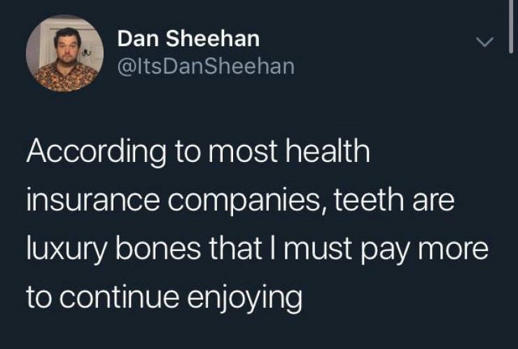 Insurance - Dan Sheehan Dan Sheehan According to most health insurance companies, teeth are luxury bones that I must pay more to continue enjoying