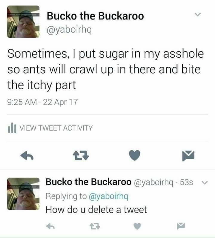 screenshots twitter memes - Bucko the Buckaroo Sometimes, I put sugar in my asshole so ants will crawl up in there and bite the itchy part 22 Apr 17 I View Tweet Activity Bucko the Buckaroo . 53 How do u delete a tweet