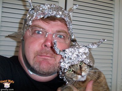 tin foil hat with cat - panel Wally gwally.com