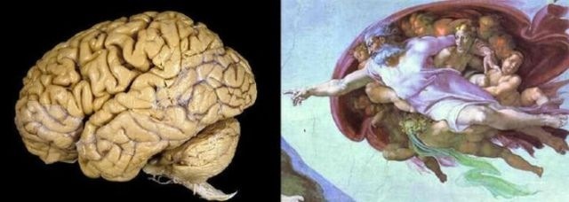 Was Michaelangelo hinting that God is all in your mind?