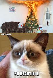 I just love grumpy cat...otherwise even I know this is tragedy.
