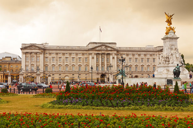 Buckingham Palace with flowers in the foreground