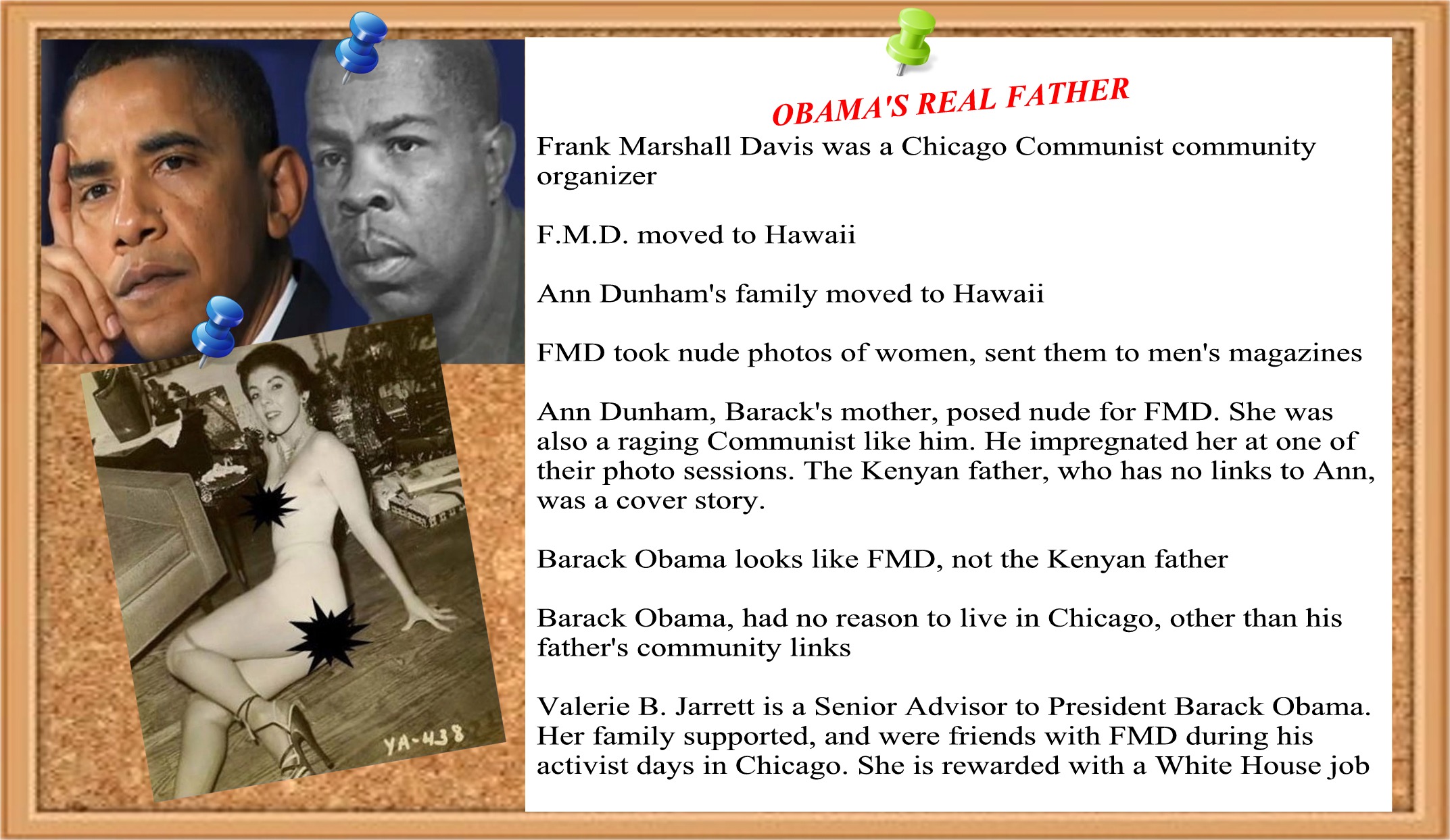 Note: Ann Dunhams' father was CIA assigned to watch over Communist F.M.D. The Kenyan father story was to cover up the embarrassment of having his daughter knocked up by the man he was supposed to be monitoring.