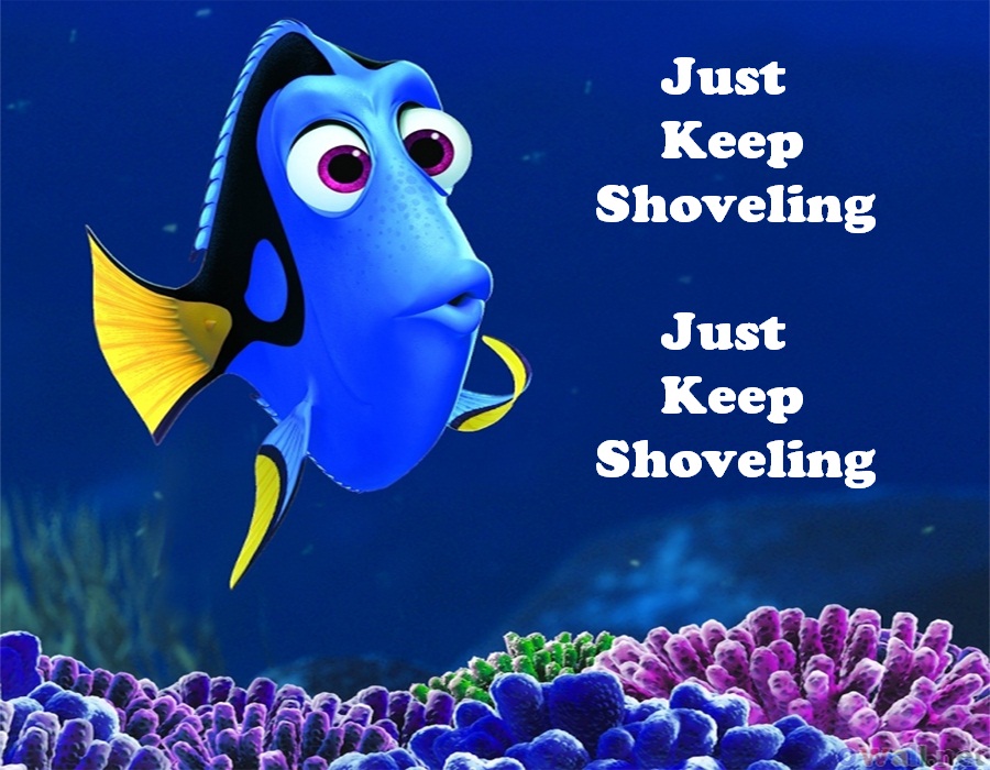 Advice from Dory