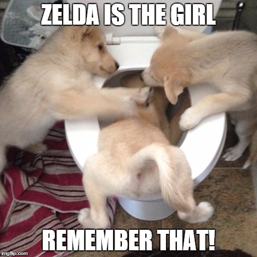 What happens when you say Zelda is a boy