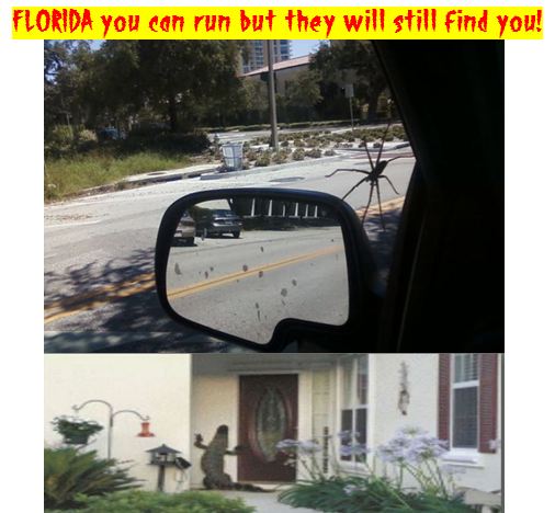Florida you can run but they will still find you!