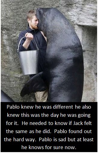 Pablo the seal couldn't fight his feelings any longer!