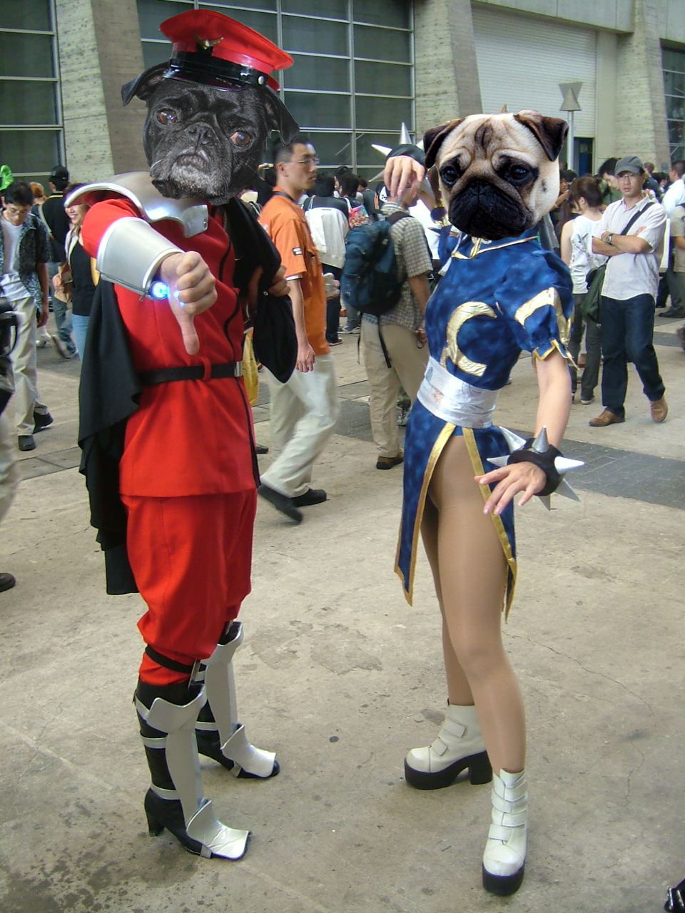 Cosplayers as Pugs. You're Welcome.
