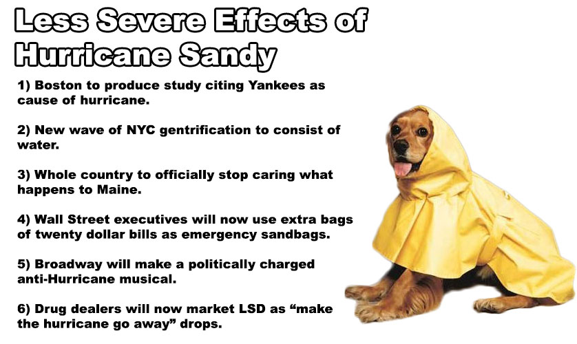 We all know that Hurricane Sandy devastated many parts of the Northeast but that's not all it did. Here are some of the lesser known effects.
