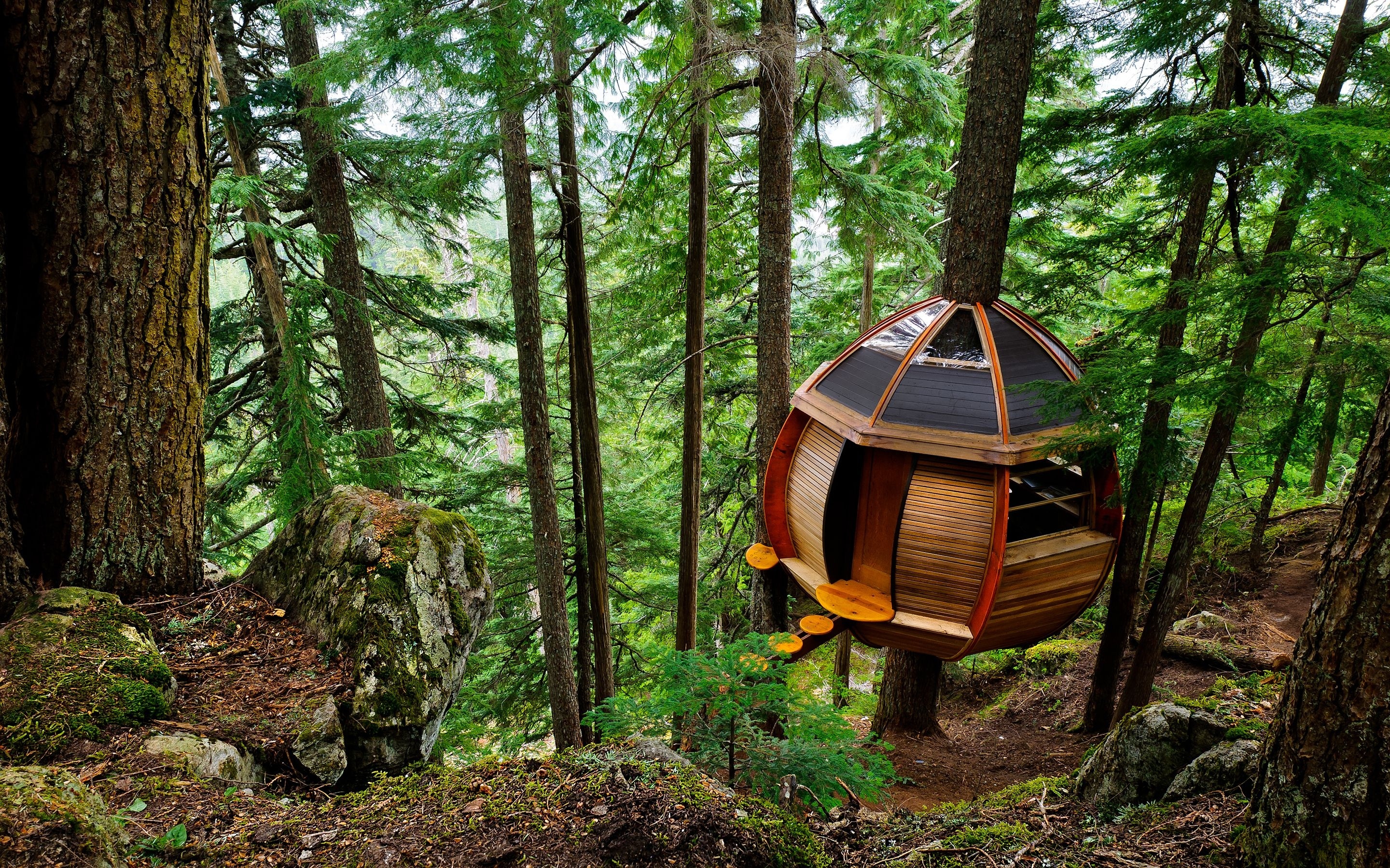 31 Tree Houses That Make The Canopy Comfy