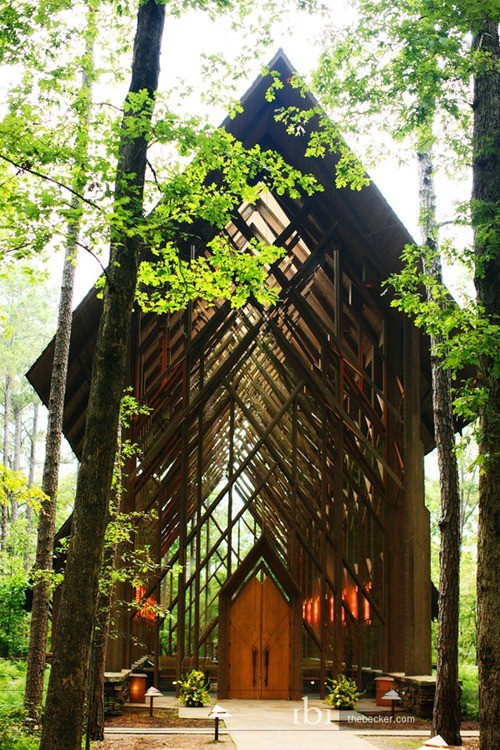 31 Tree Houses That Make The Canopy Comfy