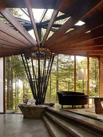 31 Tree Houses That Make The Canopy Comfy