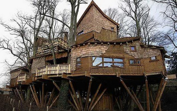 31 Tree Houses That Make The Canopy Comfy