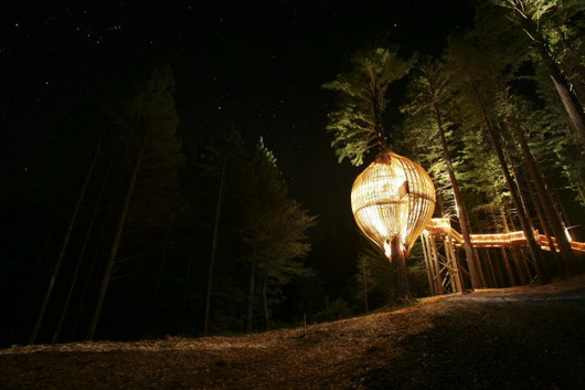 31 Tree Houses That Make The Canopy Comfy