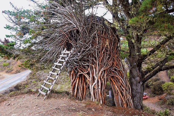 31 Tree Houses That Make The Canopy Comfy