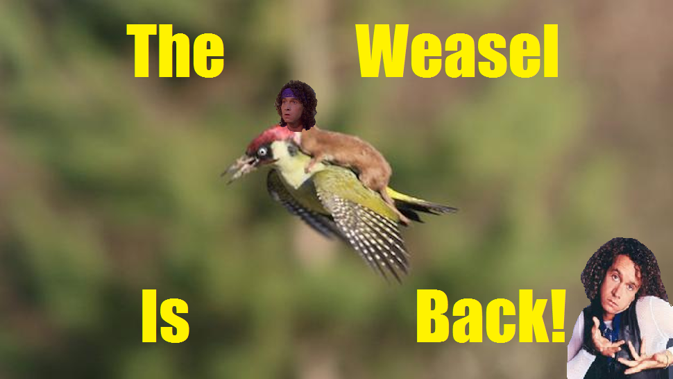 who remembers the weasel??