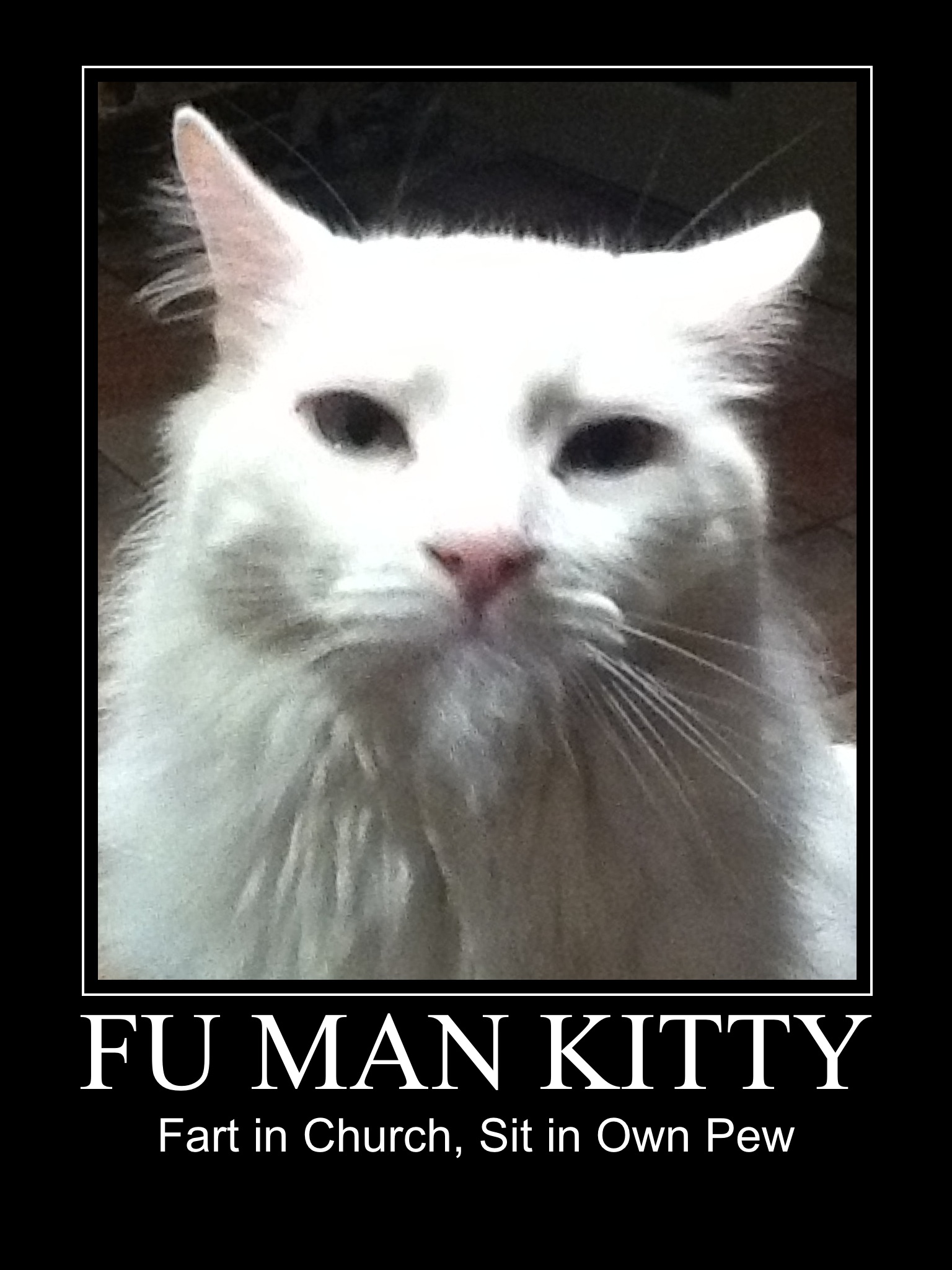Fu Man Kitty with a saying.