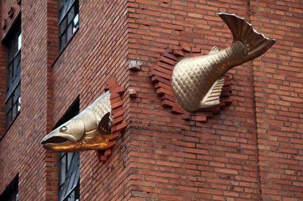 "Salmon" in Portland Oregon, USA