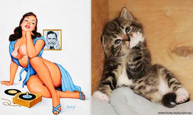 cute kitten love memes -
