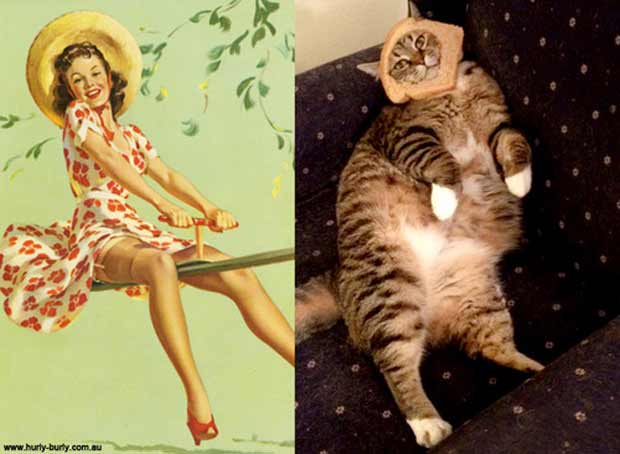 cats vs pin up girls -
