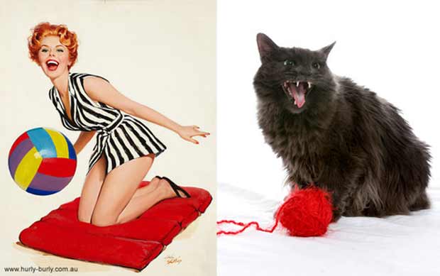 24 Cats Posing Like Pin Up Girls Gallery eBaum's World