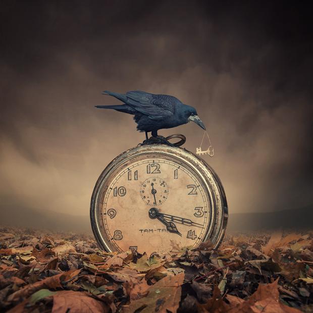 crow clock