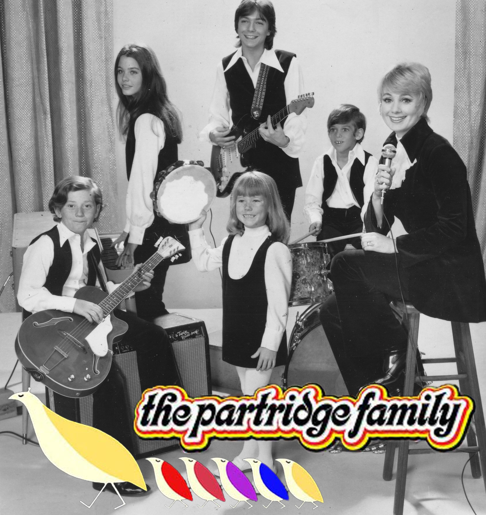 The Partridge Family (The Partridge Family)