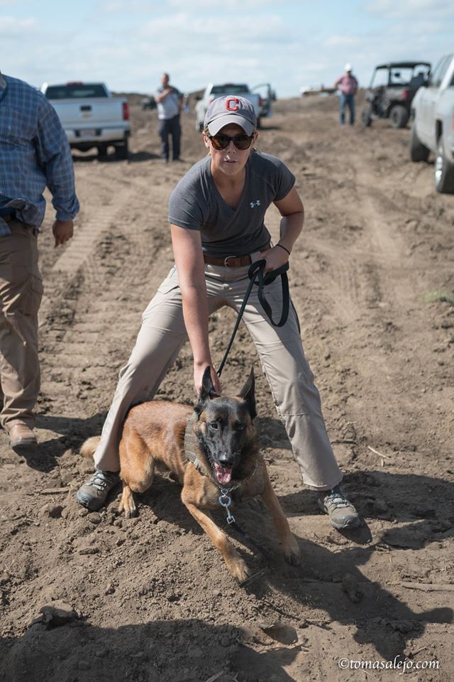 MERCENARIES JUST ATTACKED DAKOTA PIPELINE PROTESTERS WITH DOGS & PEPPER SPRAY