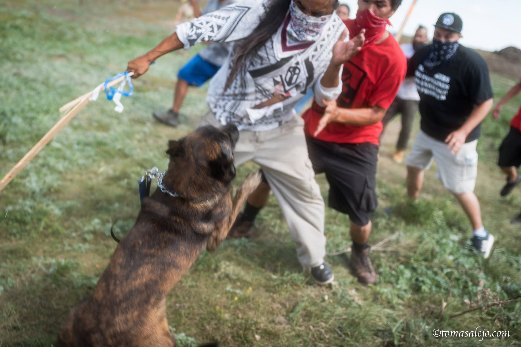 MERCENARIES JUST ATTACKED DAKOTA PIPELINE PROTESTERS WITH DOGS & PEPPER SPRAY