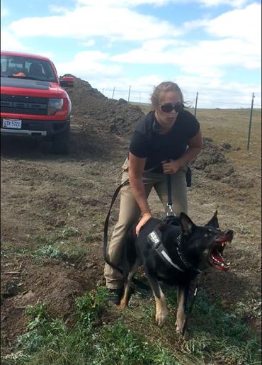 MERCENARIES JUST ATTACKED DAKOTA PIPELINE PROTESTERS WITH DOGS & PEPPER SPRAY