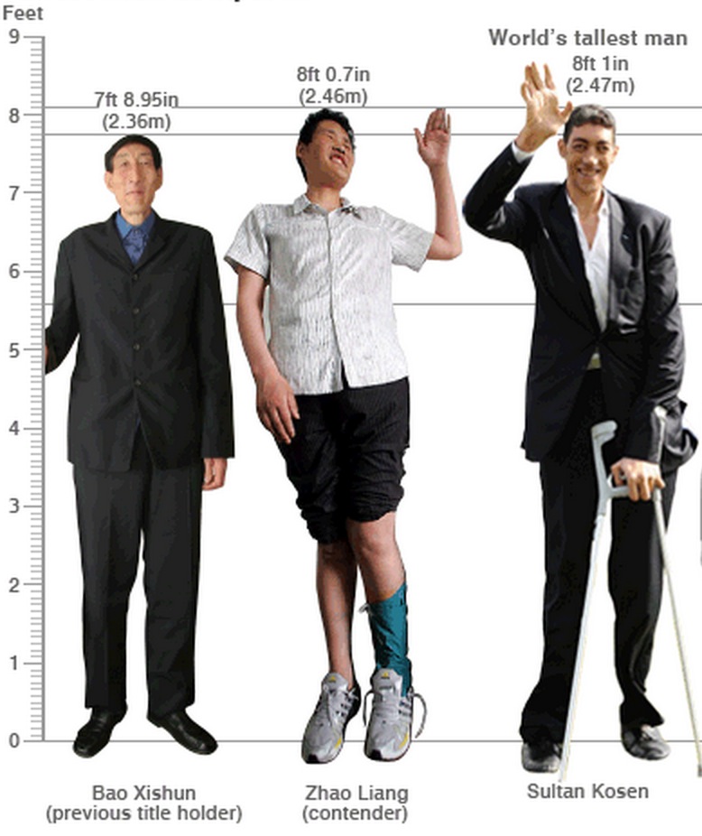 tallest man in the world comparison - Feet 93 World's tallest man 8ft in 2.47m 8ft 0.7in 2.46m 831 7ft 8.95in 2.36m Tttttttt Sultan Kosen Bao Xishun previous title holder Zhao Liang contender