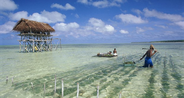 kiribati oceania