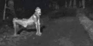 Mysterious Photos That Should Not Exist