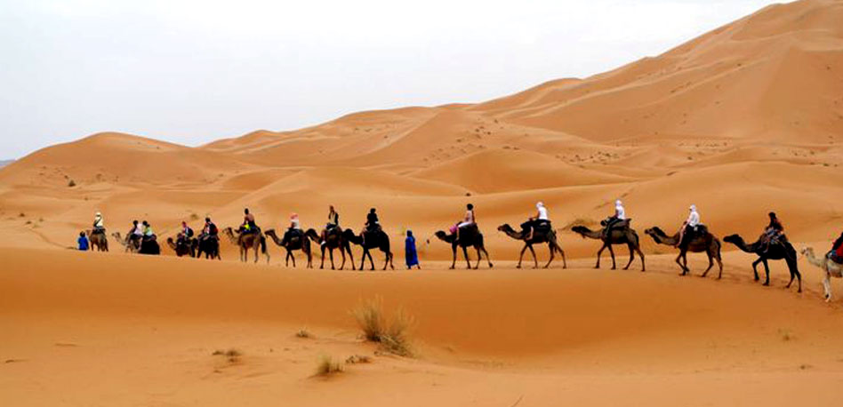 Beautiful pictures of Sahara Desert